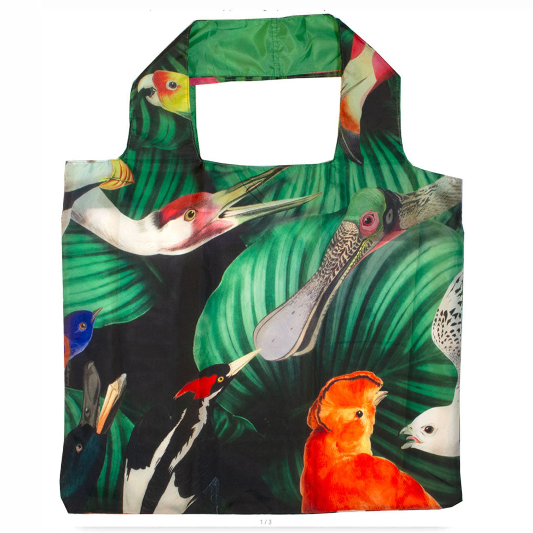 Teylers Museum, Birdlife, foldable shopping bag